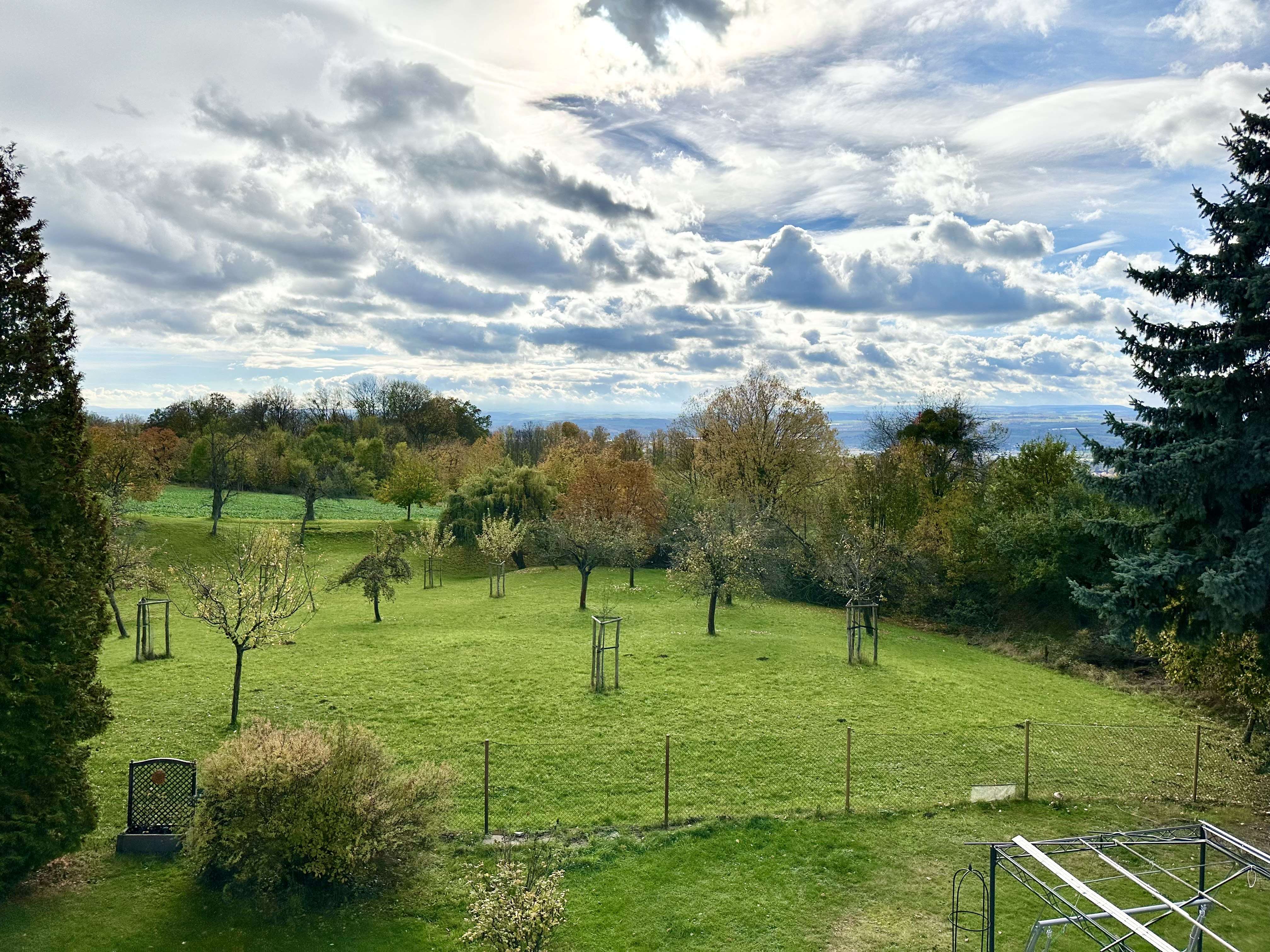 *sehr schönes Angebot in ruhiger und grüner Bestlage*, Dresden – Bild 4