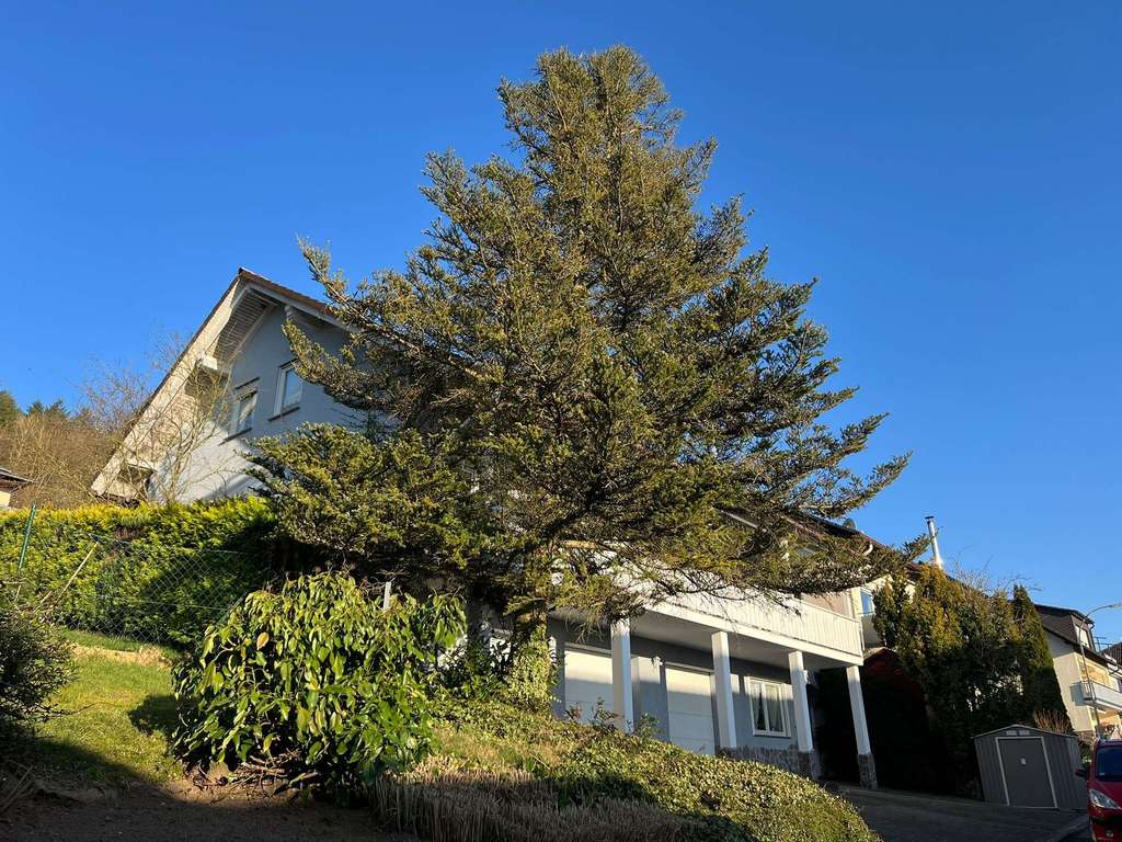 Immobilie in Brachttal - Leben wie im Urlaub – Gepflegtes Ein-bis Zweifamilienhaus in ruhiger Wohnlage - Bild 0