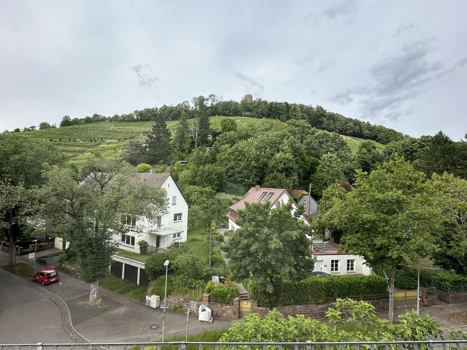 Ausblick