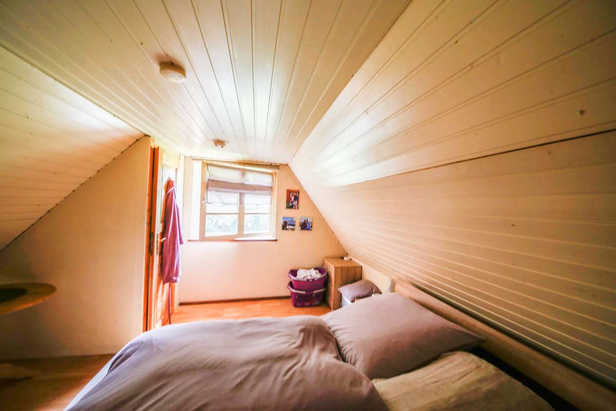 Immobilie in Gelting - Reetdachkate an der Ostsee in idyllischer Alleinlage mit drei Wohnungen  + 2,2 ha Land - Bild 6