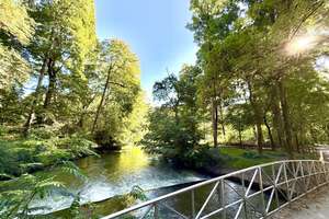 Nomen est Omen!
Ihre 1 Zimmer Wohnung am Englischen Garten! – Die vollständige Adresse der Immobilie erhältst du vom Anbieter., 80539 Schwabing-Ost, München – Vorschaubild 12