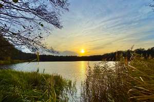 Seegrundstück mit direkten Seezugang + Waldstück am See – Mäckersee 2, 16227 Eberswalde – Vorschaubild 2