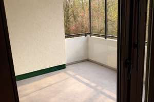 Blick ins Grüne am Wöhrder See: 4 Zimmer, 2 Loggien & TG – Doktor-Carlo-Schmid-Straße 86, 90491 St. Jobst, Nürnberg – Vorschaubild 4