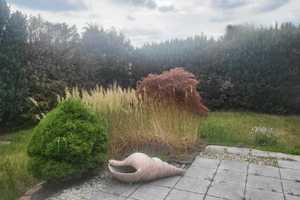 Ruhig und sonniger Bungalow , alles auf einer Ebene – Hannover (Kreis) – Vorschaubild 12