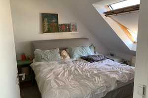 Sehr schöne und helle Altbauwohnung mit großer Wohnküche inkl. EBK in renoviertem Altbau! – Mannheim – Vorschaubild 4