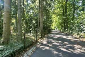 Aumühle: Komfortabler Neubau in herrlicher Südlage - noch ein Grundstück verfügbar – Herzogtum Lauenburg (Kreis) – Vorschaubild 5