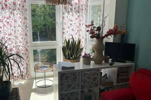 Gepflegte 3-Zimmer-Eigentumswohnung mit Parkblick, Balkon und TG-Platz in Eidelstedt/Stellingen! – Olloweg 94, 22525 Eidelstedt, Hamburg – Vorschaubild 14