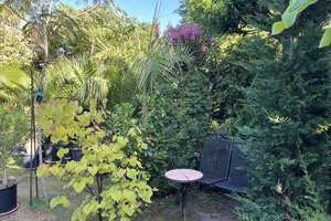 Zweifamilienhaus mit Einliegerwohnung und parkähnlicher Gartenanlage – 63071 Tempelsee, Offenbach am Main – Vorschaubild 30