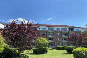 Tolle Wohnung mit großer Wohnküche in Reislingen S/W – Gerta-Overbeck-Ring 30, 38446 Wolfsburg – Vorschaubild 1