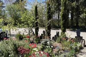 Idyllische A+ Doppelhaushälfte - Modern und Effizient – München – Vorschaubild 9