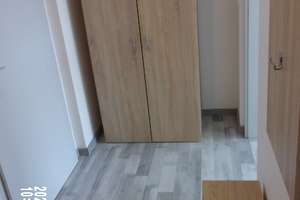 Zentrumsnah - 1 ZKDB - SINGLE - teilmöblierte Komfort - Whg. mit EBK und vieles mehr- Sanierung 2024 – Josef-Ries-Str. 9, 99086 Johannesvorstadt, Erfurt – Vorschaubild 8