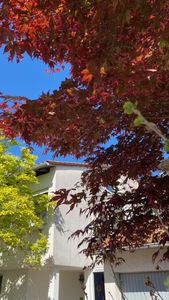 @ ein in der Tat sehr interessantes Haus - OPEN HOUSE am 25.07.26 mit Anmeldung