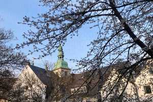 Property thumbnail 9