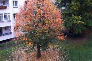 Property thumbnail 14