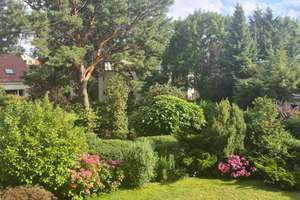 Entspannung pur - ruhig - sonnig - grün