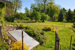 Natur pur – Einfamilienhaus mit großem Grundstück und Seenähe – Mecklenburg-Strelitz (Kreis) – Vorschaubild 11