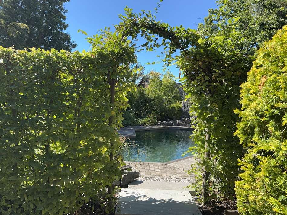 liebevoll angelegter Garten mi