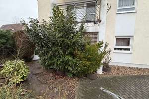 Großzügige 4-Zimmer-Wohnung mit Terrasse und Garten in Mannheim-Friedrichsfeld – Die vollständige Adresse der Immobilie erhältst du vom Anbieter., 68229 Friedrichsfeld, Mannheim – Vorschaubild 2