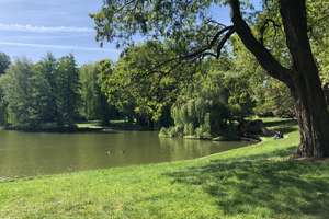 Property thumbnail 14