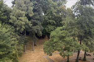 Mitten in Altenbochum – freundliche 3 Zimmer DG-Wohnung in ruhiger Lage mit eigenem Park – Theoderichstraße 10, 44803 Altenbochum, Bochum – Vorschaubild 8