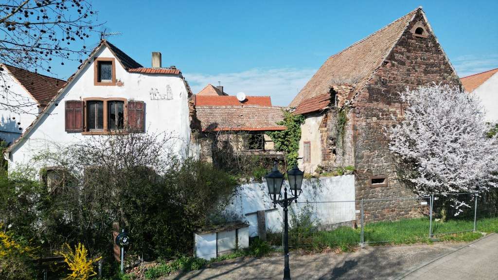 Immobilie in Grünstadt - Sanierung oder Neubau /// 533 m² Grundstück mit Altbestand und gigantischer Scheune - Bild 1