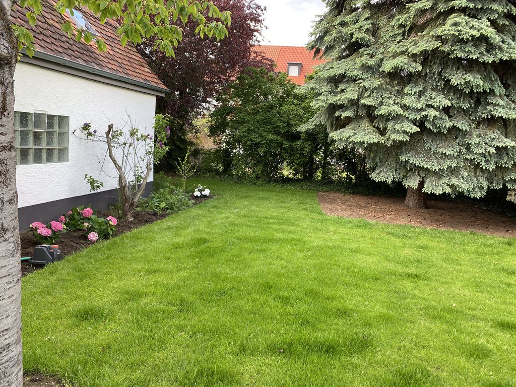 Single umzüge kosten