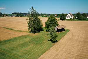 RESERVIERT! Wohnhaus mit Ökonomieteil und Traumgrundstück in ruhiger Naturlage – Die vollständige Adresse der Immobilie erhältst du vom Anbieter., 78664 Eschbronn – Vorschaubild 4