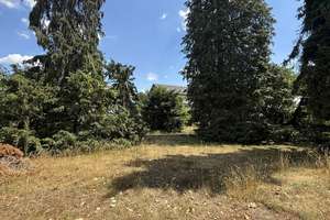 EFH mit 2 ELW in Top-Lage von Weinsheim – ein Zuhause mit außergewöhnlicher Vielfalt und Perspektive – Die vollständige Adresse der Immobilie erhältst du vom Anbieter., 67551 Weinsheim, Worms – Vorschaubild 35