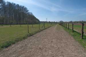 Pferderanch mit drei Wohneinheiten und 2Ha Weideland direkt am Reichswald. – Grafwegenerstraße 16, 47559 Kleve (Kreis) – Vorschaubild 55