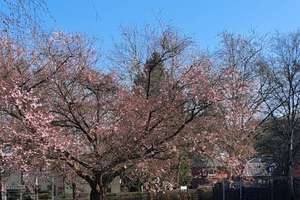 Property thumbnail 14