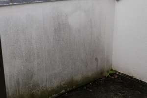 Traumhafte schöne 2 Zimmer Wohnung in Düsseldorf-Wittlaer zu vermieten!!! – Bergesweg 17, 40489 Wittlaer, Düsseldorf – Vorschaubild 6