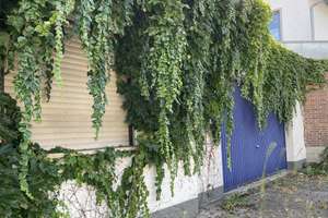 Schönes Einfamilienhaus mit viel Grün