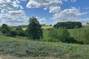 Hermerath: Neubau-Doppelhaushälfte mit 176 m² Wfl. 511 m² Grdst. und Panoramablickk – Die vollständige Adresse der Immobilie erhältst du vom Anbieter., 53819 Neunkirchen-Seelscheid – Vorschaubild 5