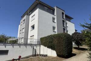 Zuffenhausen: Licht, Weitblick und viel Platz für die Familie – 70437 Zuffenhausen-Mitte, Stuttgart – Vorschaubild 13