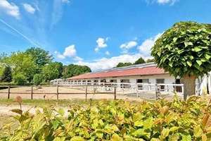 NRW, Nordrhein-Westfalen, Raum Bielefeld - gepflegte Reitanlage zu verkaufen