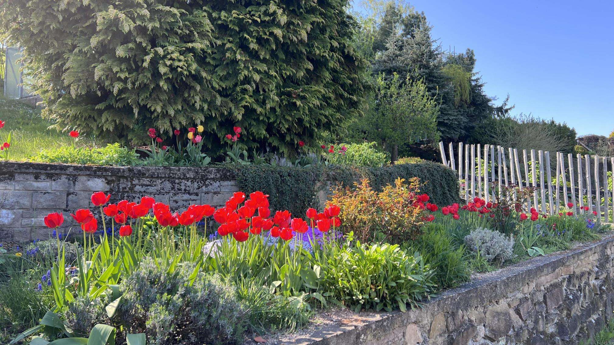 Multitalent für Landliebhaber, Zwickau Kreis – Bild 3