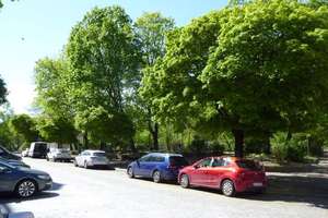 Park & Wasser vor der Tür  - 1 Zi. App.  in Laufweite zur BHT - U-Bhf. Amrumer Str. - Sprengelkiez – Die vollständige Adresse der Immobilie erhältst du vom Anbieter., 13353 Wedding, Berlin – Vorschaubild 12