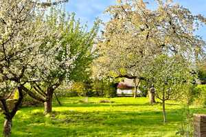 Braunschweig-Lamme: Solides Einfamilienhaus mit viel Platz und herrlichem Garten. – Braunschweig – Vorschaubild 2