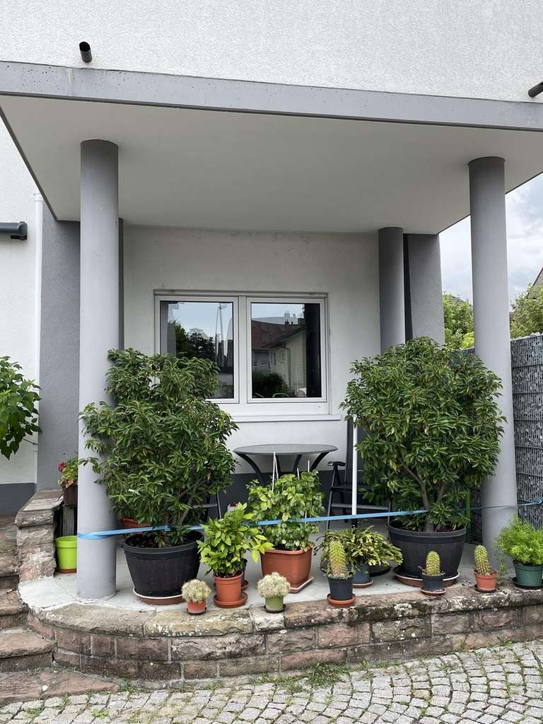 Immobilie in Achern - Attraktives 2-Familienhaus im Herzen von Oberachern - Vielseitige Nutzung & Charme inklusive! - Bild 3