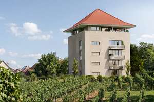 Historische Mauern - Moderene Architektur - Einzigartige Aussicht - Eigener Weinberg: Die Zuckerburg – 70378 Steinhaldenfeld, Stuttgart – Vorschaubild 6