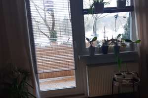 Helle 3-Zimmer Wohnung mit Balkon im 1. OG in Chemnitz-Markersdorf – Ludwig-Kühn-Straße 9, 9123 Markersdorf, Chemnitz – Vorschaubild 8