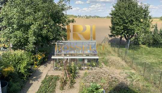 Bild von MFH mit Mieteinnahmen & EFH (Leerstehend) mit Potenzial auf großem Grundstück in Schapen