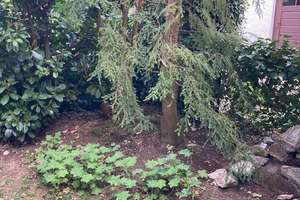 Neu renoviertes Appartment (Einliegerwohnung) – Die vollständige Adresse der Immobilie erhältst du vom Anbieter., 85521 Hohenbrunn – Vorschaubild 6