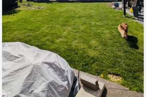 Property thumbnail 13