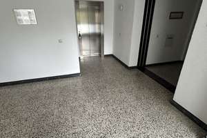 Frisch Modernisierte 2-Raum-Wohnung mit Balkon möchte gerne neu vermietet werden – Spervogelweg 18, 45279 Freisenbruch, Essen – Vorschaubild 3