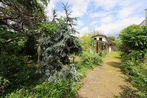 GEMÜTLICHES HAUS MIT GROSSEM, MODERNEN WINTERGARTEN - TEILWEISE UNTERKELLERT - FUSSLÄUFIG ZUR DAHME – Bärdorfer Zeile 27, 12489 Adlershof, Berlin – Vorschaubild 20