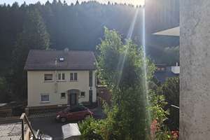 Helle 1-Zimmerwohnung in ruhiger Lage von Heidelberg-Ziegelhausen – frisch renoviert – Schweizertalstraße 24, 69118 Ziegelhausen, Heidelberg – Vorschaubild 8