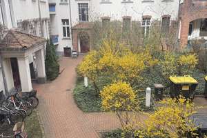 Im Dachgeschoss einer Altbauperle im Herzen von Pankow! – Breite Straße 16a, 13187 Pankow (Ortsteil), Berlin – Vorschaubild 35