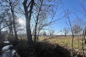 Property thumbnail 19