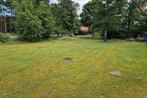Idyllisches Haus mit großem Garten – Lüneburg (Kreis) – Vorschaubild 5